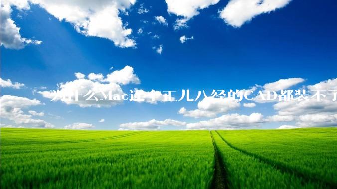 为什么Mac连个正儿八经的CAD都装不了还敢打着生产力的旗号？