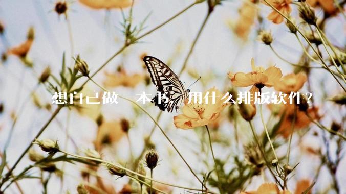 想自己做一本书，用什么排版软件？