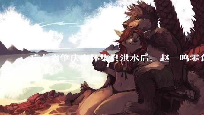 广东省肇庆市怀集县洪水后，赵一鸣零食店被哄抢，物资和收银机里面的几千块钱被哄抢一空，如何评价？