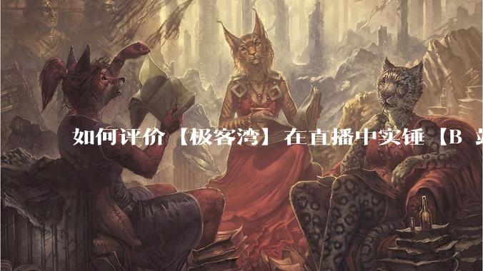 如何评价【极客湾】在直播中实锤【B 站不交保护费就限流】？