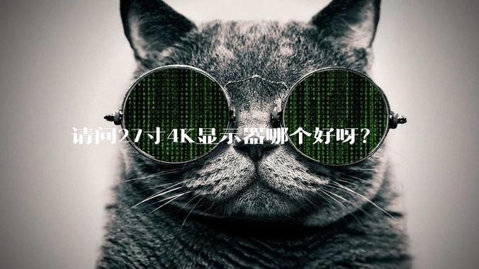 请问27寸4K显示器哪个好呀？
