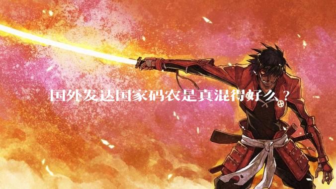 国外发达国家码农是真混得好么?