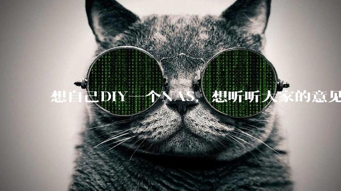 想自己DIY一个NAS，想听听大家的意见。？